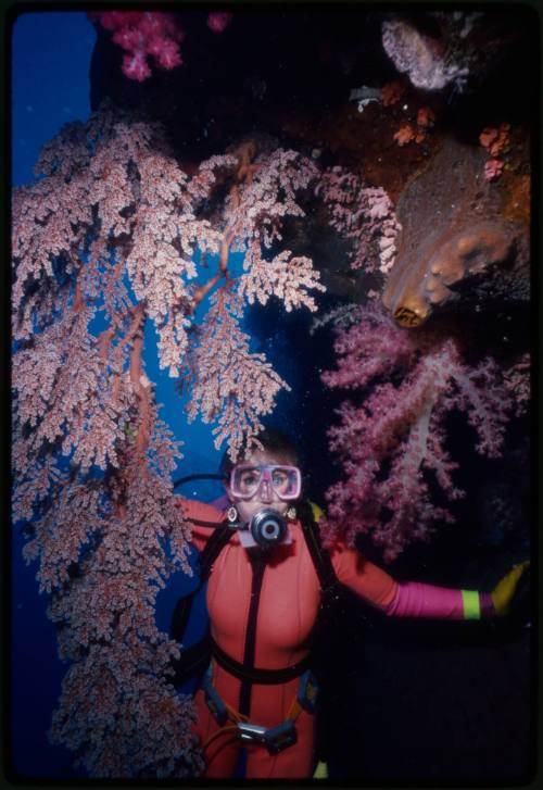 Valerie Taylor underwater amongst coral