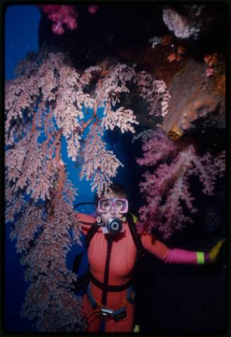 Valerie Taylor underwater amongst coral