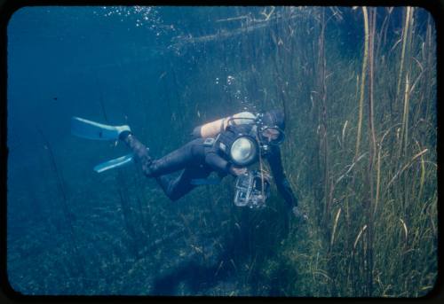 Ron Taylor near seafloor