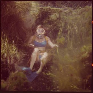 Diver underwater seated amongst vegetation