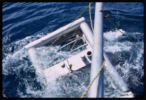 Top of shark cage with Peter Lake inside