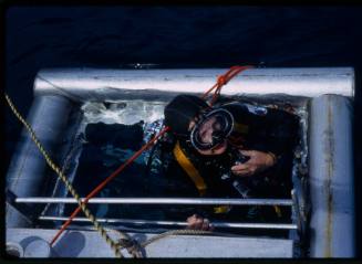 Peter Lake above the water in shark cage after attack