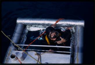 Head of Peter Lake in shark cage above water