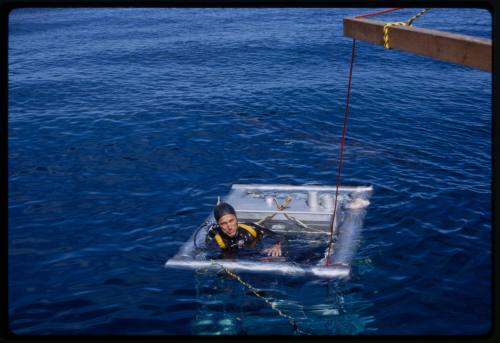 Shark cage in water with Stan Waterman looking out