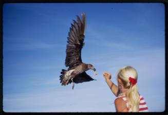 Valerie Taylor feeding a bird