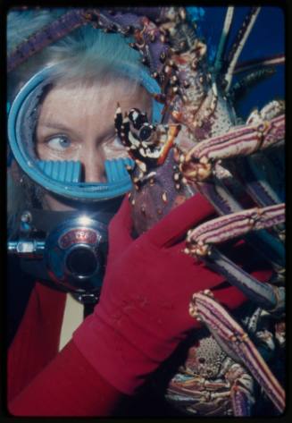 Valerie Taylor holding carribean crayfish