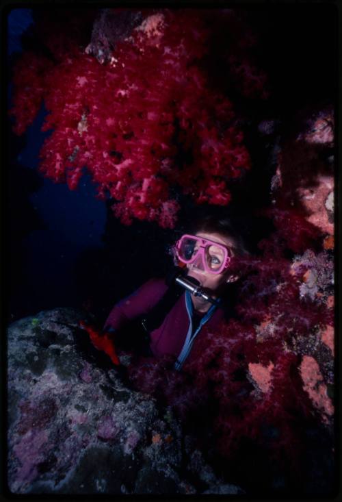 Valerie Taylor amongst coral