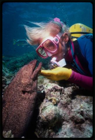 Valerie Taylor and Harry the giant moray eel
