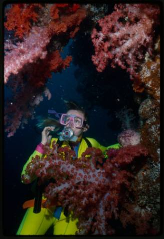 Valerie Taylor amongst coral