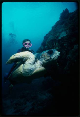 Valerie Taylor and sea turtle