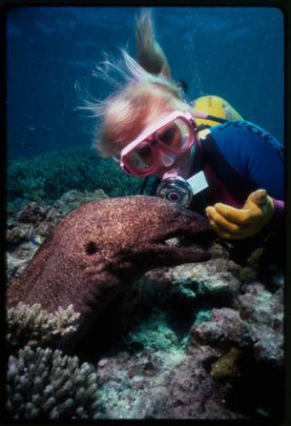 Valerie Taylor and Harry the giant moray eel