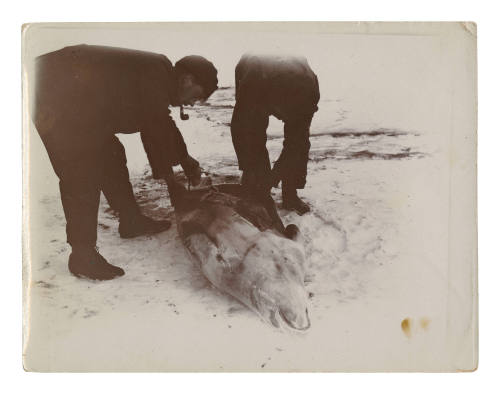 Two men in Antarctica