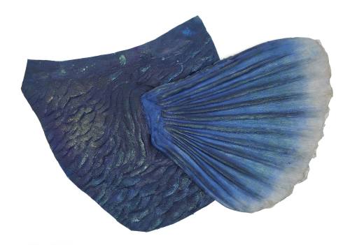 Sample Blueback skin with pectoral fin