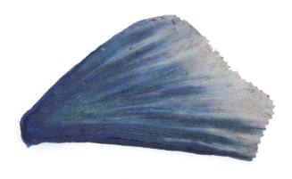 Sample of fin