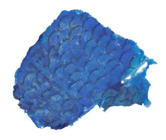 Sample of Blueback skin