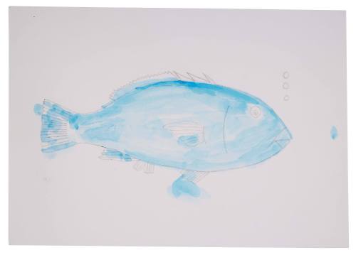 Blue groper by young Abby film prop
