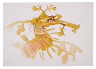 Leafy seadragon by teen Abby film prop