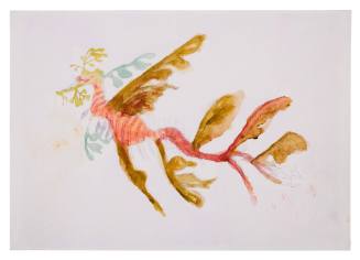 Leafy seadragon by teen Abby film prop