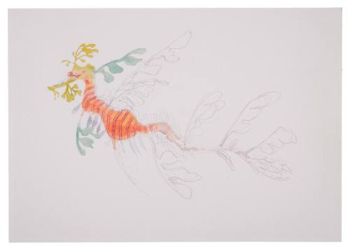 Leafy seadragon by teen Abby film prop