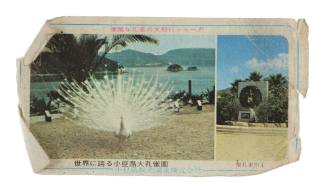 Shodoshima Grand Peacock Ticket
