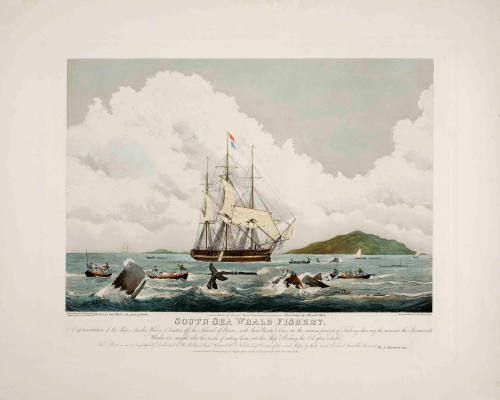 South Sea whale fishery - A representation of the ships AMELIA WILSON and CASTOR off the island of Bouro...