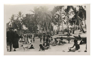 People at beachfront amongst palm trees