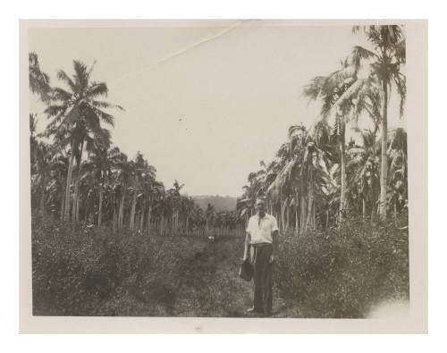 Man standing in a field