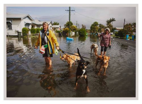 Two people and four dogs on a flooded street