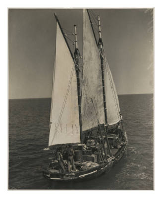 Pearling lugger FLYING FOAM under sail