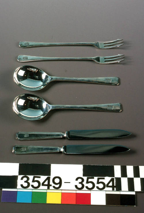 Shaw Savill Line spoon