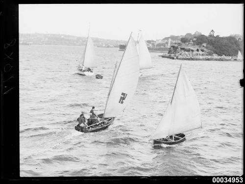 Skiffs sailing on Sydney Harbour near Shark Island