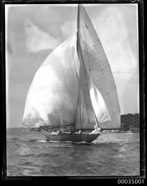 Sail boat from a regatta underway near shoreline Sydney Harbour