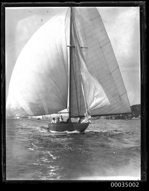 Sail boat from a regatta underway near shoreline Sydney Harbour