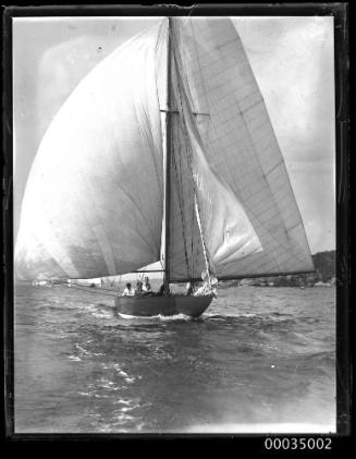 Sail boat from a regatta underway near shoreline Sydney Harbour