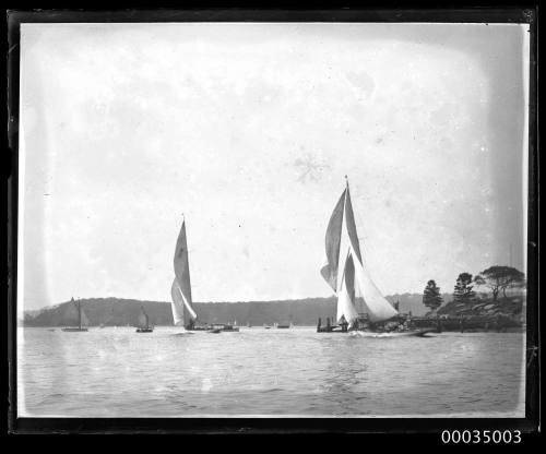 Sail boat from a regatta underway near shoreline Sydney Harbour