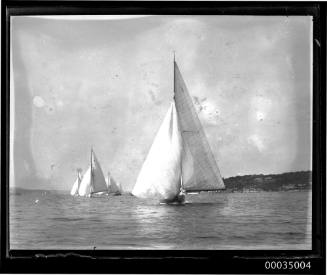 Sail boat from a regatta underway near shoreline Sydney Harbour.