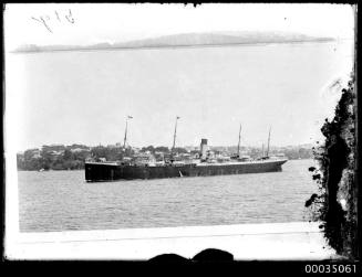 Cargo or passenger liner in Sydney Harbour