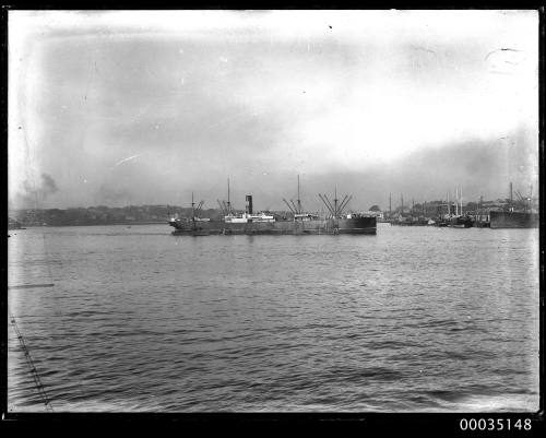 Steamship and tugboat in Sydney Harbour