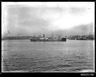 Steamship and tugboat in Sydney Harbour