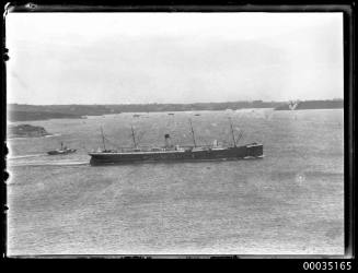 Cargo liner in Sydney Harbour