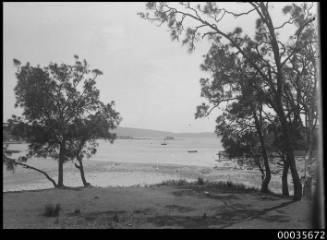 Vaucluse beach and bay.