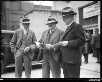 Dr Purdy at an annual horse stud sale