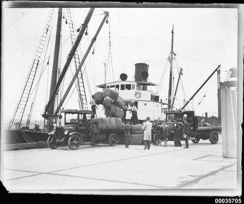 Unloading wool bales from SS CANONBAR