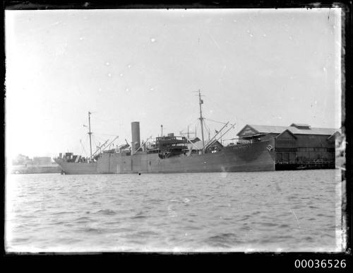 Cargo liner docked in Sydney Harbour