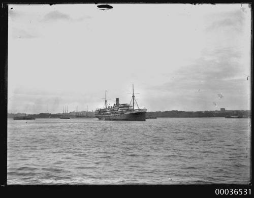 Passenger liner in Sydney Harbour