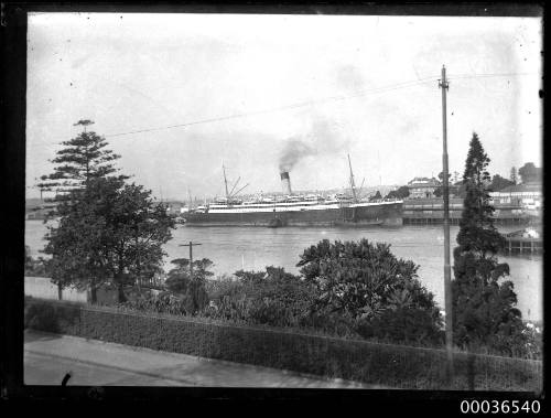 Passenger liner near Royal Botanic Gardens Sydney