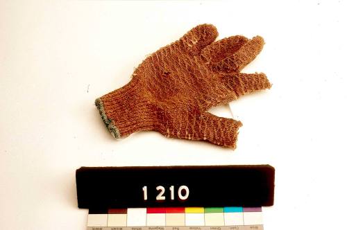 Left hand glove worn by Campbell Reid