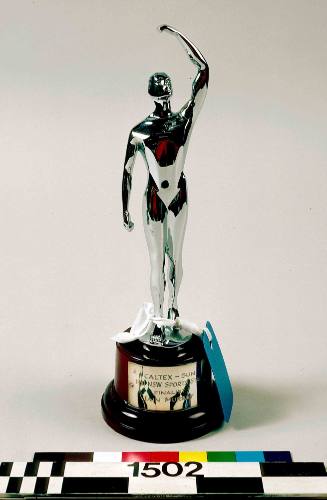 Caltex-Sun Trophy for 'NSW Sports Star Finalist' awarded to Iain Murray