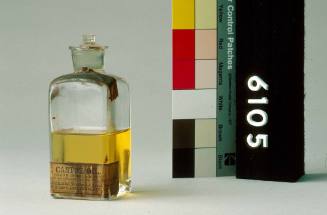 Bottle of Castor Oil, made by Dakin Brothers, Druggists