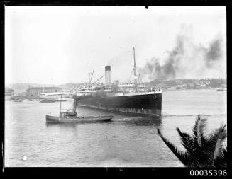 Glass plate negative